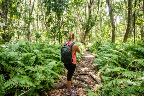 Jozani Forest Walk