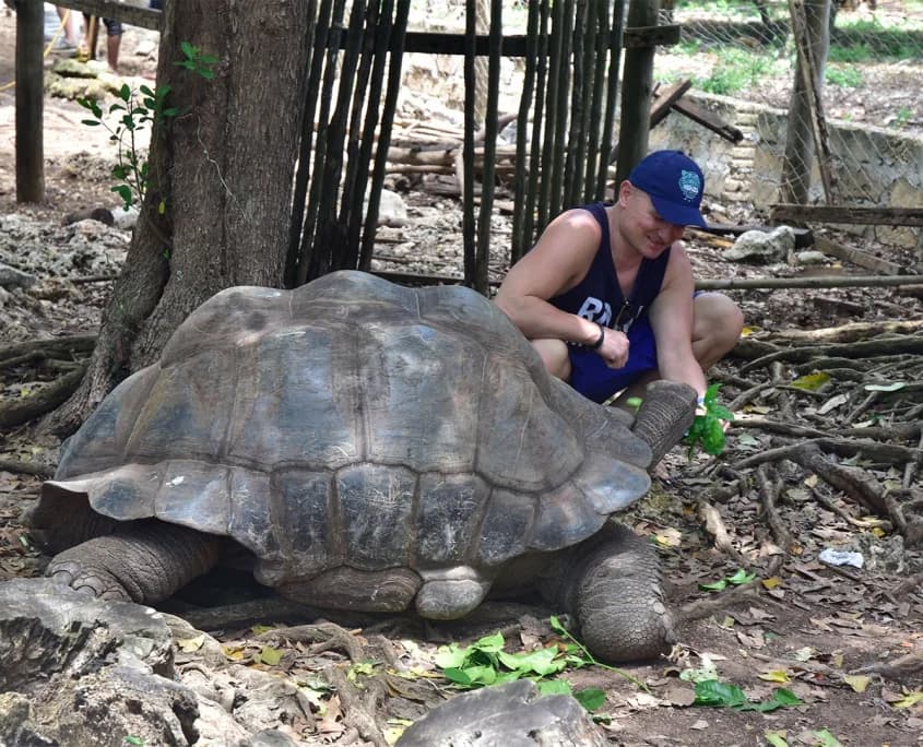 Prison Island Adventure