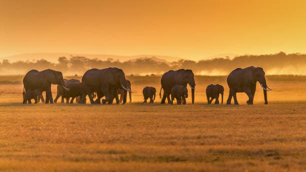 Serengeti National Park