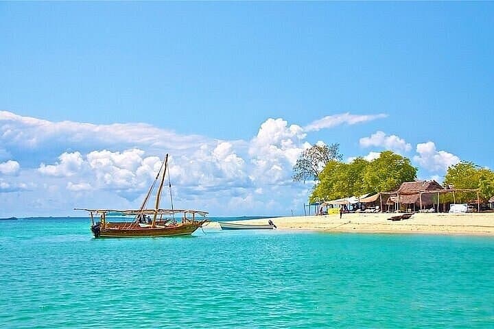 Safari Blue Ocean Tour