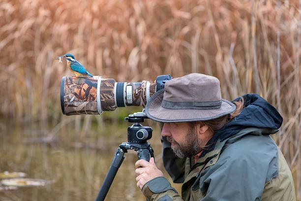 Wildlife photography